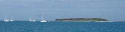Lady Musgrave Island from Lagoon